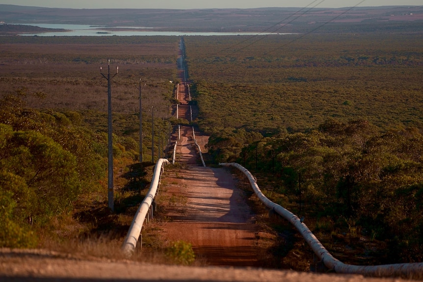 Above ground water pipes in South Australia.