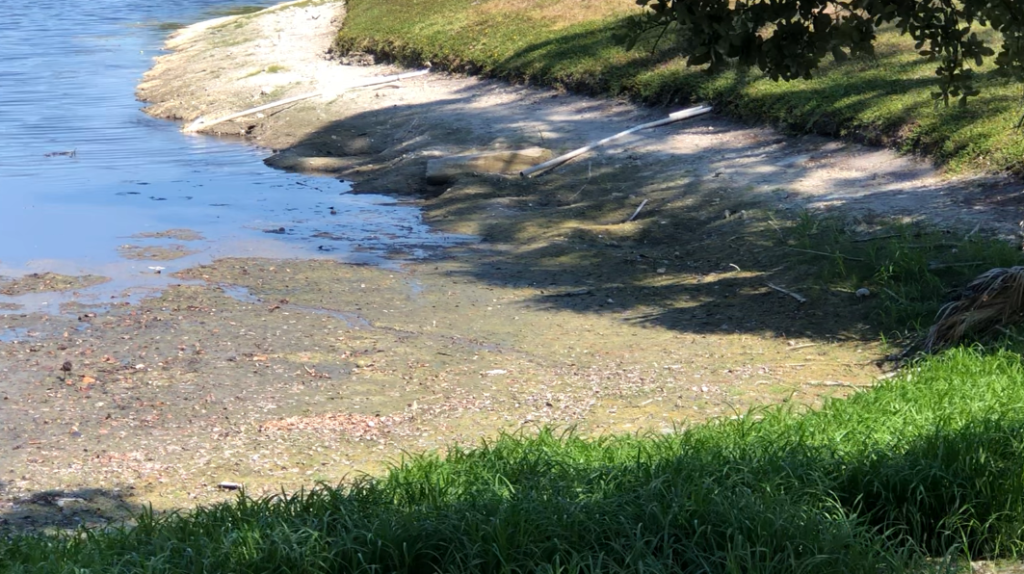 Some in South Florida welcome the expected rains after extremely dry conditions