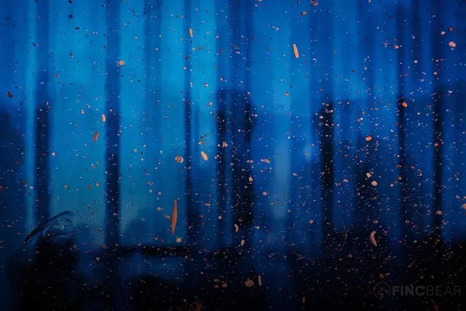 Balancing Passion and Profit