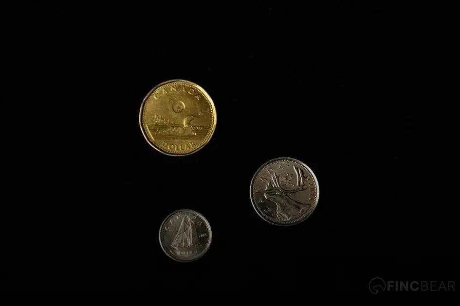 Establish an Emergency Fund