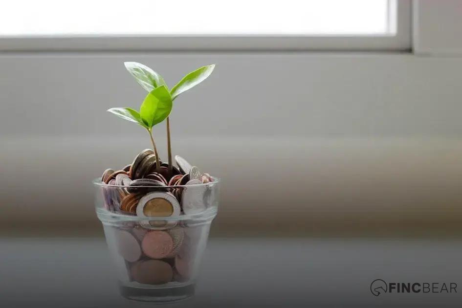 How to Use a Side Hustle for Financial Freedom Easily