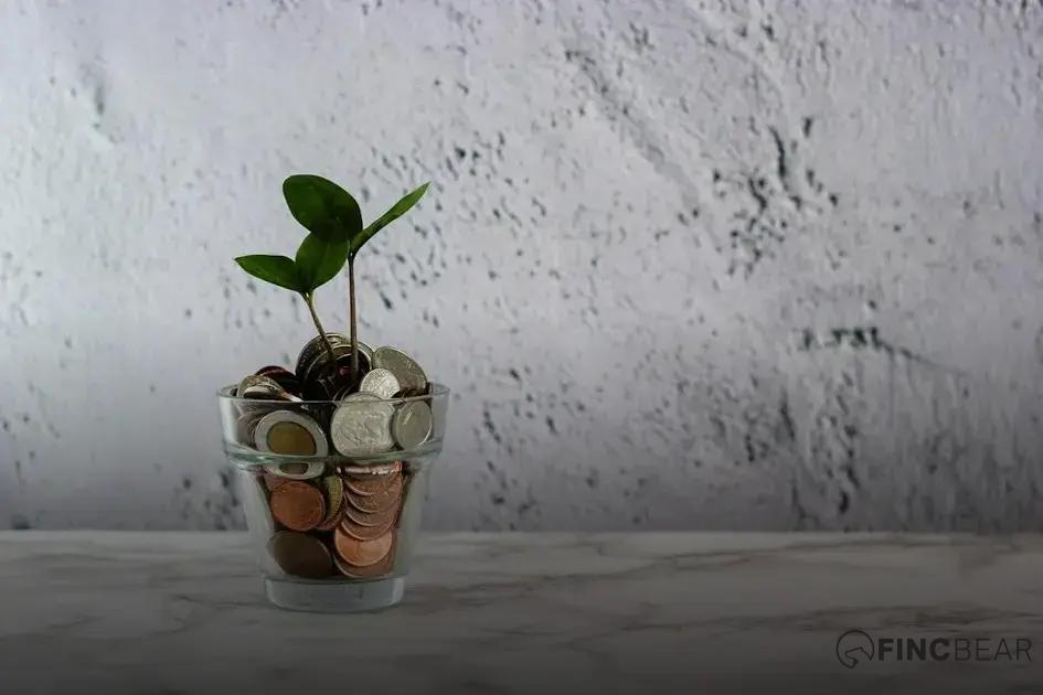 Making the Right Investment Decision